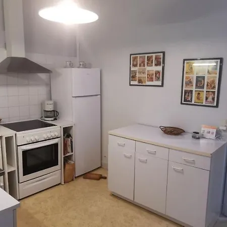 Ana 바네르드비고르